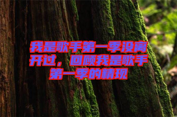 我是歌手第一季沒離開過，回顧我是歌手第一季的精現(xiàn)