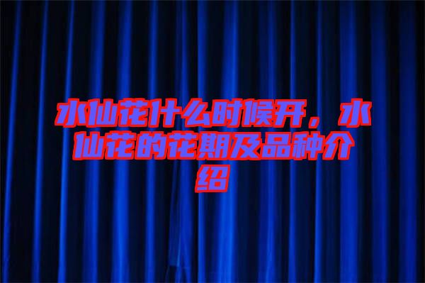 水仙花什么時(shí)候開，水仙花的花期及品種介紹