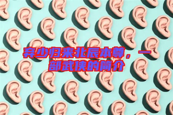 棄少歸來(lái)北辰本尊，一部武俠的簡(jiǎn)介