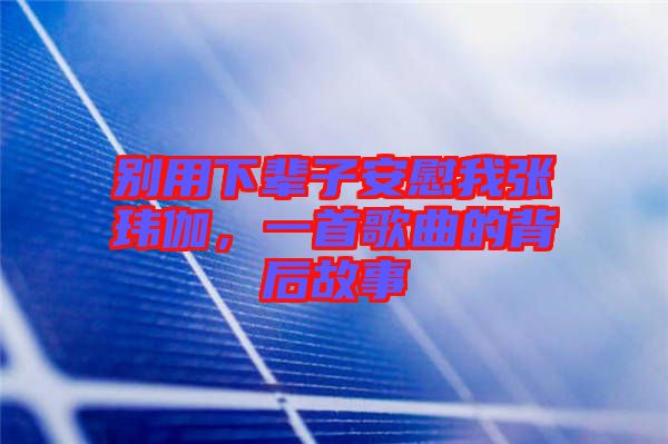 別用下輩子安慰我張瑋伽，一首歌曲的背后故事