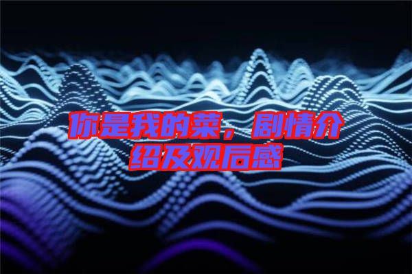 你是我的菜，劇情介紹及觀后感