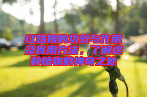 紅姑娘的功效與作用及食用方法，了解這種植物的神奇之處