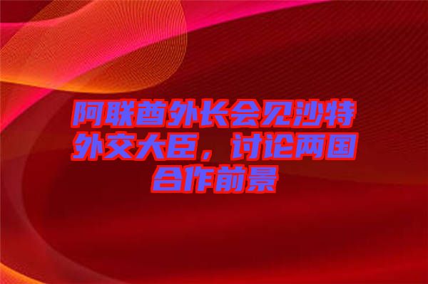 阿聯(lián)酋外長會見沙特外交大臣，討論兩國合作前景