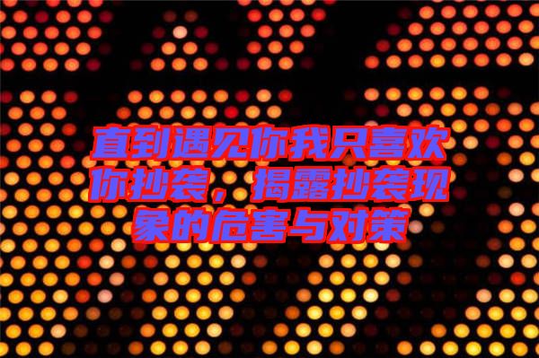 直到遇見你我只喜歡你抄襲，揭露抄襲現(xiàn)象的危害與對策