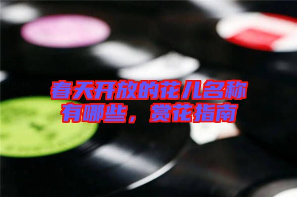 春天開放的花兒名稱有哪些，賞花指南