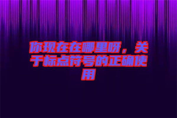 你現(xiàn)在在哪里呀，關(guān)于標(biāo)點(diǎn)符號(hào)的正確使用