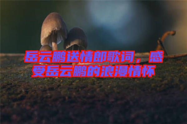 岳云鵬送情郎歌詞，感受岳云鵬的浪漫情懷