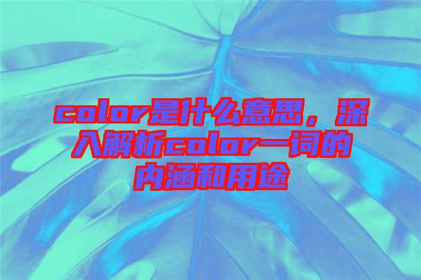 color是什么意思，深入解析color一詞的內(nèi)涵和用途