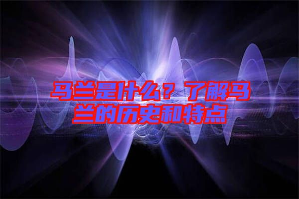 馬蘭是什么？了解馬蘭的歷史和特點(diǎn)