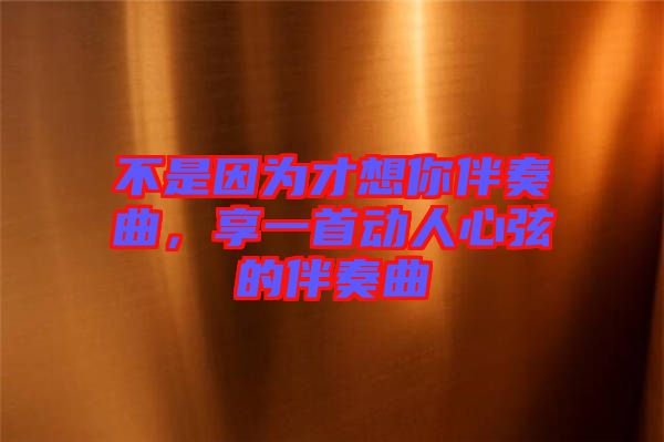 不是因為才想你伴奏曲，享一首動人心弦的伴奏曲