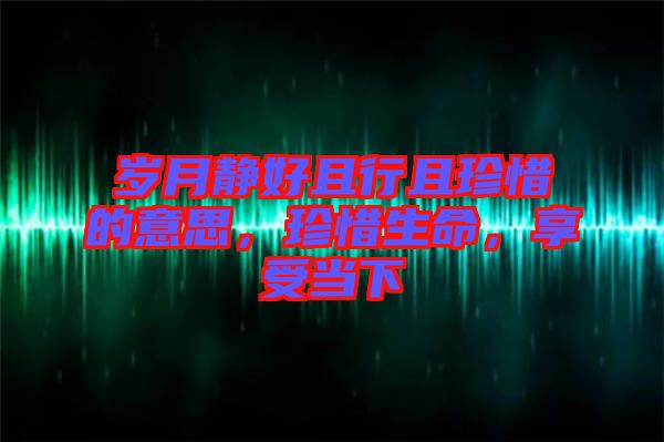 歲月靜好且行且珍惜的意思，珍惜生命，享受當下