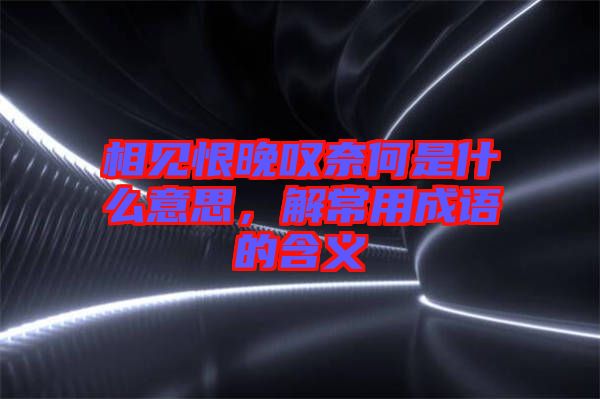 相見恨晚嘆奈何是什么意思，解常用成語的含義