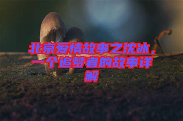 北京愛情故事之沈冰，一個追夢者的故事詳解