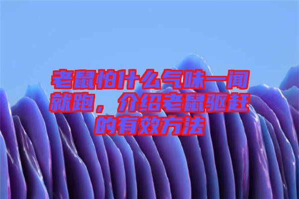 老鼠怕什么氣味一聞就跑，介紹老鼠驅(qū)趕的有效方法