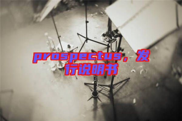 prospectus，發(fā)行說(shuō)明書