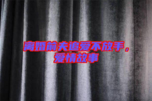 離婚前夫追愛不放手，愛情故事