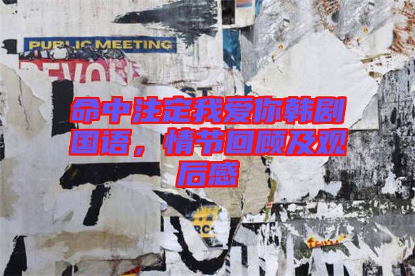 命中注定我愛你韓劇國語，情節(jié)回顧及觀后感