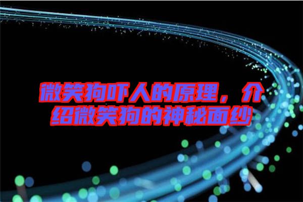 微笑狗嚇人的原理，介紹微笑狗的神秘面紗