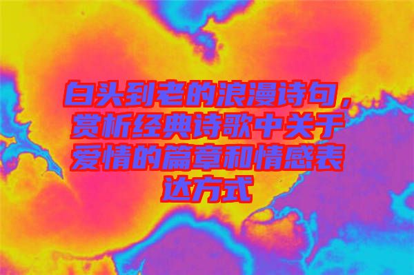 白頭到老的浪漫詩句，賞析經(jīng)典詩歌中關(guān)于愛情的篇章和情感表達(dá)方式