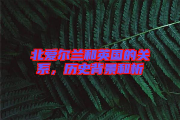 北愛(ài)爾蘭和英國(guó)的關(guān)系，歷史背景和析