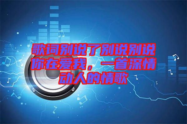 歌詞別說了別說別說你在愛我，一首深情動(dòng)人的情歌