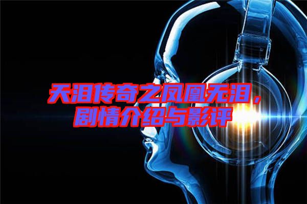 天淚傳奇之鳳凰無淚，劇情介紹與影評(píng)