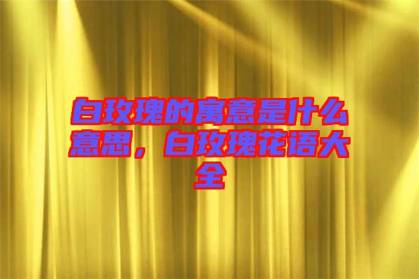 白玫瑰的寓意是什么意思，白玫瑰花語大全