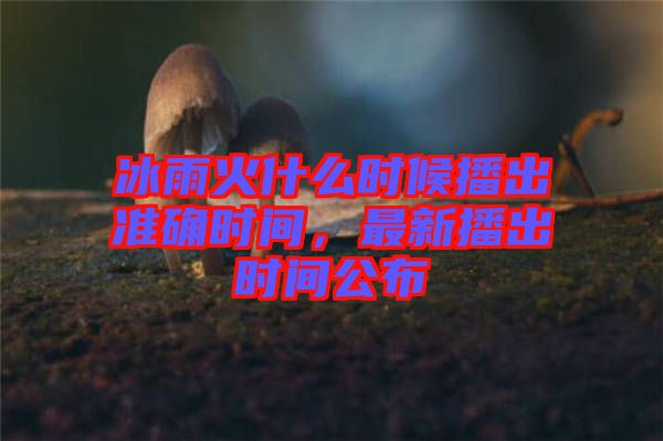 冰雨火什么時候播出準確時間，最新播出時間公布