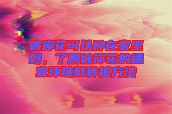 彼岸花可以種在家里嗎，了解彼岸花的適宜環(huán)境和種植方法