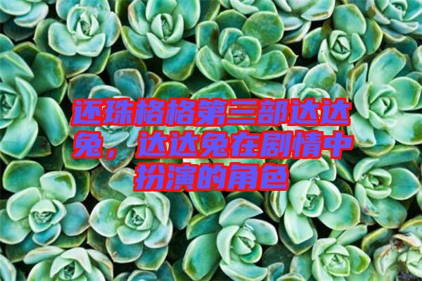 還珠格格第三部達(dá)達(dá)兔，達(dá)達(dá)兔在劇情中扮演的角色