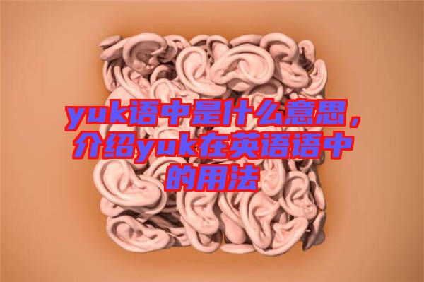 yuk語中是什么意思，介紹yuk在英語語中的用法