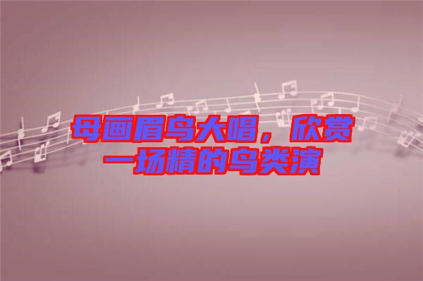 母畫(huà)眉鳥(niǎo)大唱，欣賞一場(chǎng)精的鳥(niǎo)類(lèi)演