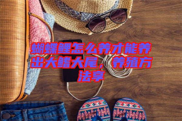 蝴蝶鯉怎么養(yǎng)才能養(yǎng)出大鰭大尾，養(yǎng)殖方法享