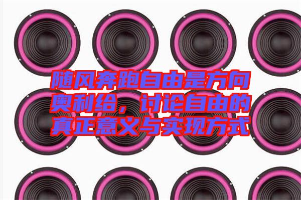 隨風(fēng)奔跑自由是方向奧利給，討論自由的真正意義與實現(xiàn)方式