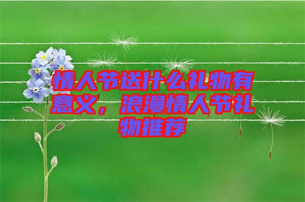 情人節(jié)送什么禮物有意義，浪漫情人節(jié)禮物推薦