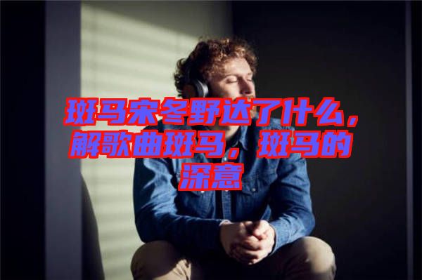 斑馬宋冬野達了什么，解歌曲斑馬，斑馬的深意