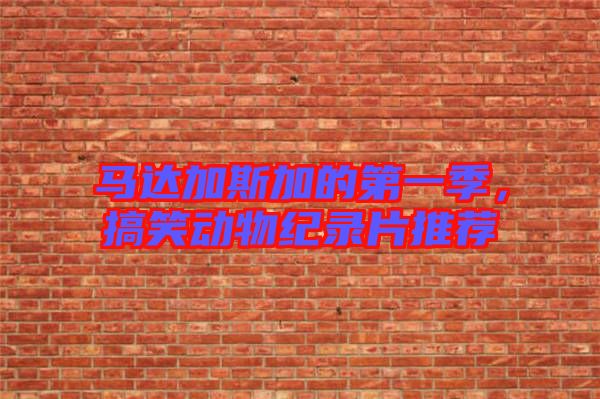 馬達(dá)加斯加的第一季，搞笑動(dòng)物紀(jì)錄片推薦