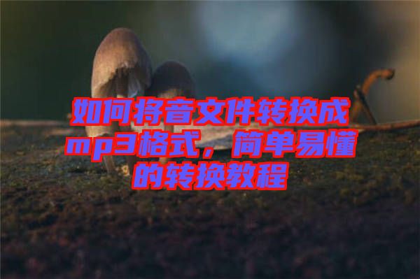如何將音文件轉(zhuǎn)換成mp3格式，簡(jiǎn)單易懂的轉(zhuǎn)換教程