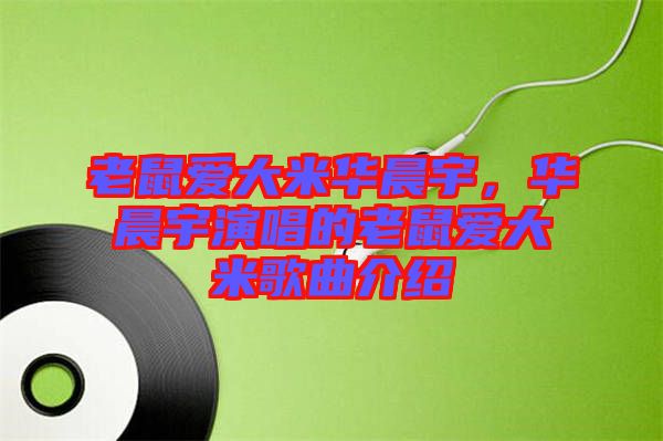 老鼠愛大米華晨宇，華晨宇演唱的老鼠愛大米歌曲介紹
