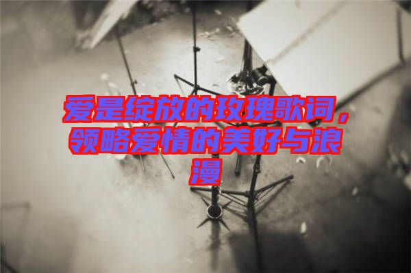 愛是綻放的玫瑰歌詞，領(lǐng)略愛情的美好與浪漫