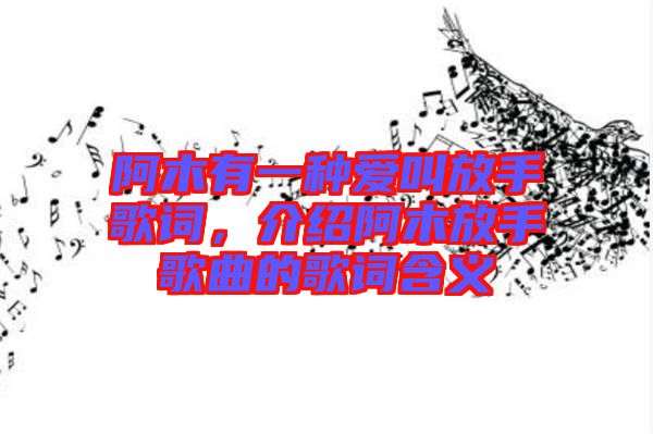 阿木有一種愛叫放手歌詞，介紹阿木放手歌曲的歌詞含義