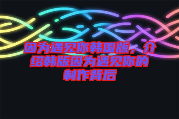 因?yàn)橛鲆娔沩n國(guó)版，介紹韓版因?yàn)橛鲆娔愕闹谱鞅澈? width=