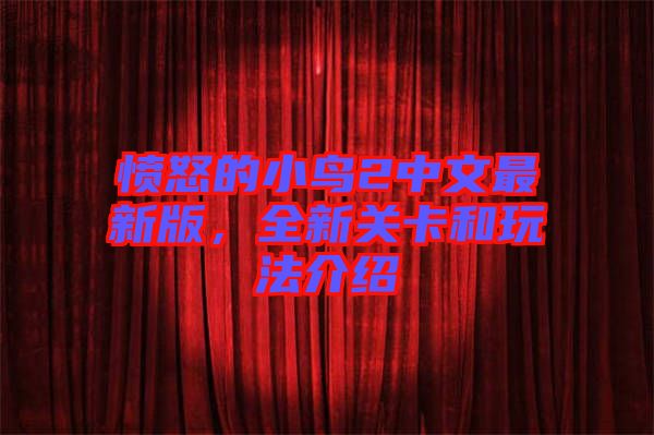 憤怒的小鳥2中文最新版，全新關(guān)卡和玩法介紹