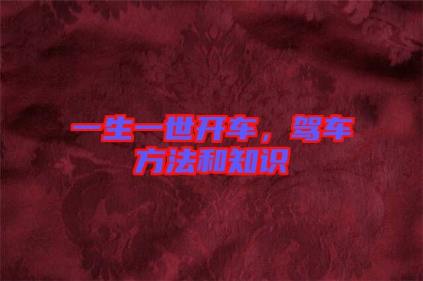 一生一世開車，駕車方法和知識
