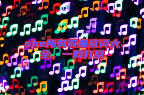 she所有歌曲歌詞大全，一網(wǎng)打盡