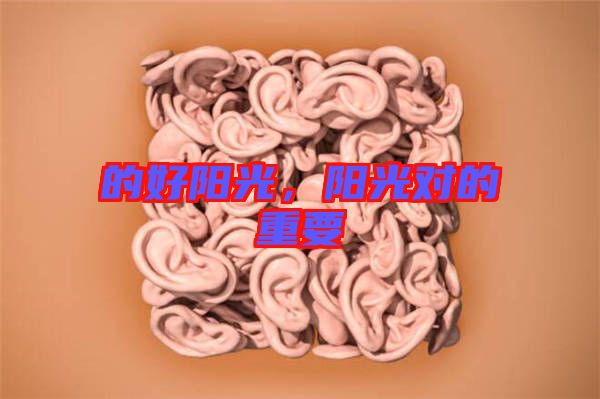 的好陽光，陽光對的重要