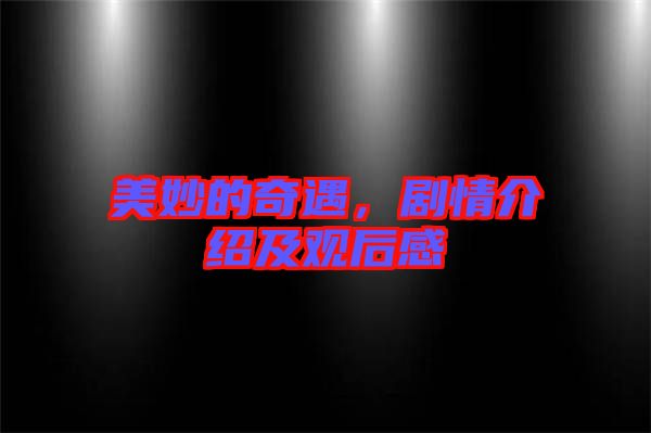 美妙的奇遇，劇情介紹及觀后感