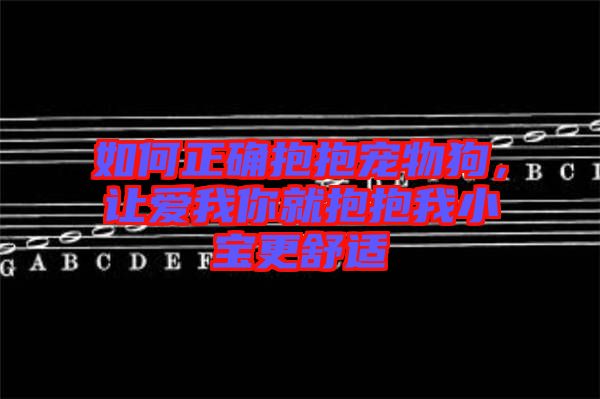 如何正確抱抱寵物狗，讓愛(ài)我你就抱抱我小寶更舒適