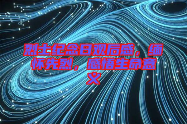 烈士紀(jì)念日觀后感，緬懷先烈，感悟生命意義