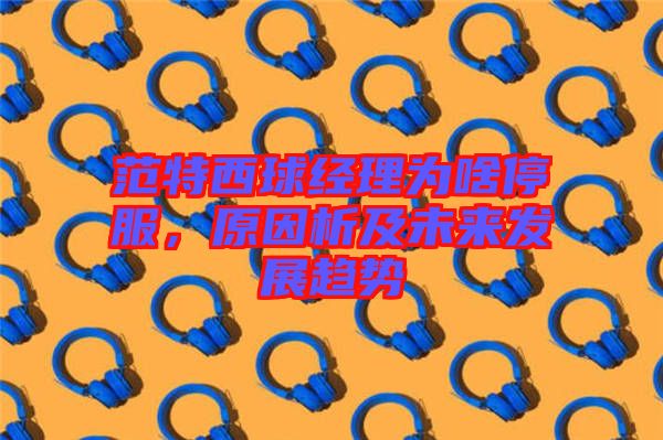 范特西球經(jīng)理為啥停服，原因析及未來發(fā)展趨勢